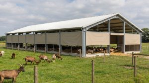 "Large steel-framed barn with partially covered sides, goats grazing outside in a fenced green pasture."