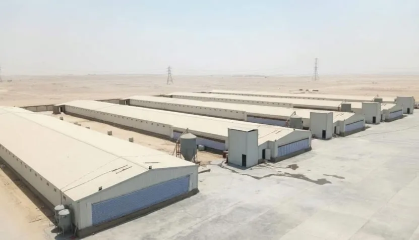 Aerial view of the 19,140 m² steel structure chicken house project in Egypt with multiple poultry buildings.