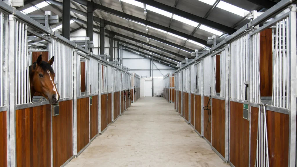 20×65m steel horse barn interior in Uruguay with horse stalls and central aisle layout for equestrian facility management