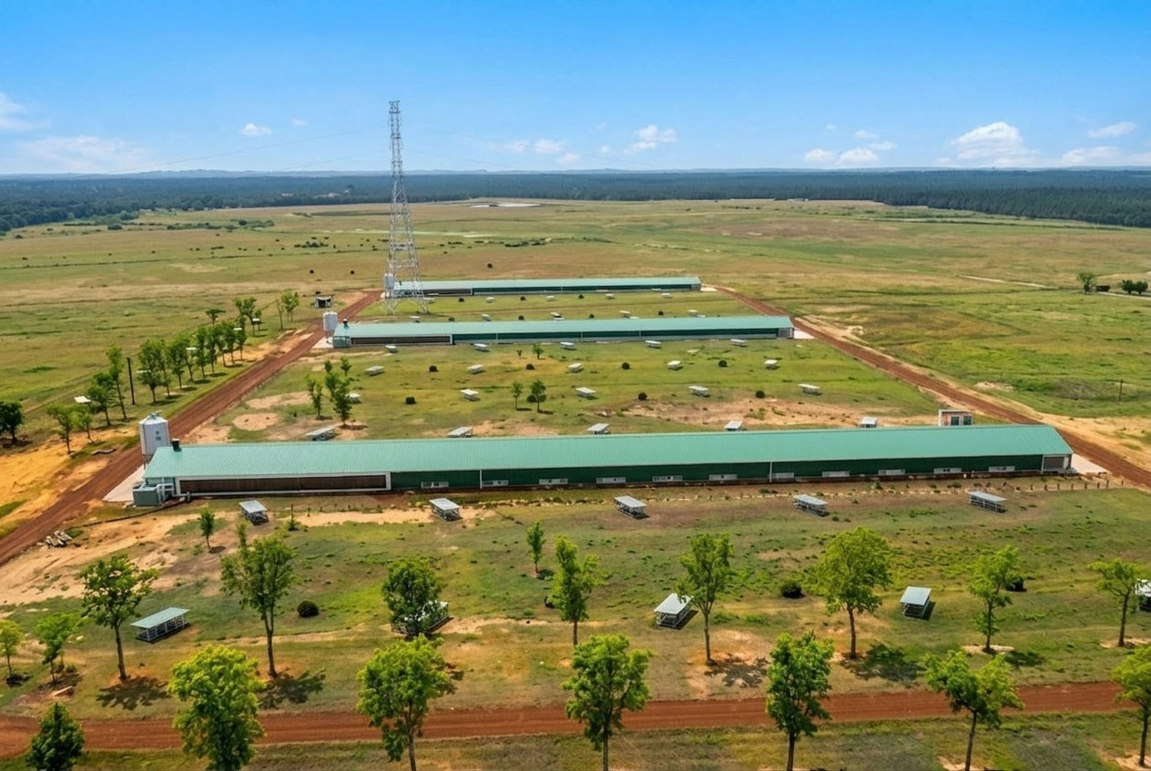 Aerial view of a commercial free-range chicken house project with three poultry buildings and outdoor range areas.