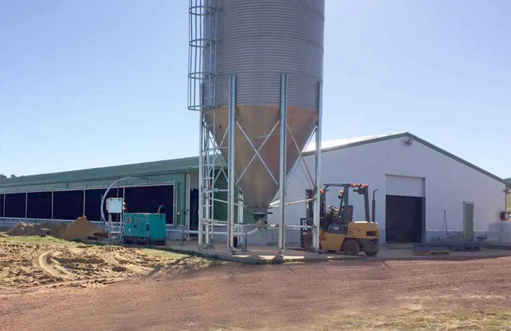 Customized steel structure building for an agricultural project with metal roof panels, side ventilation openings, and feed silo installation.