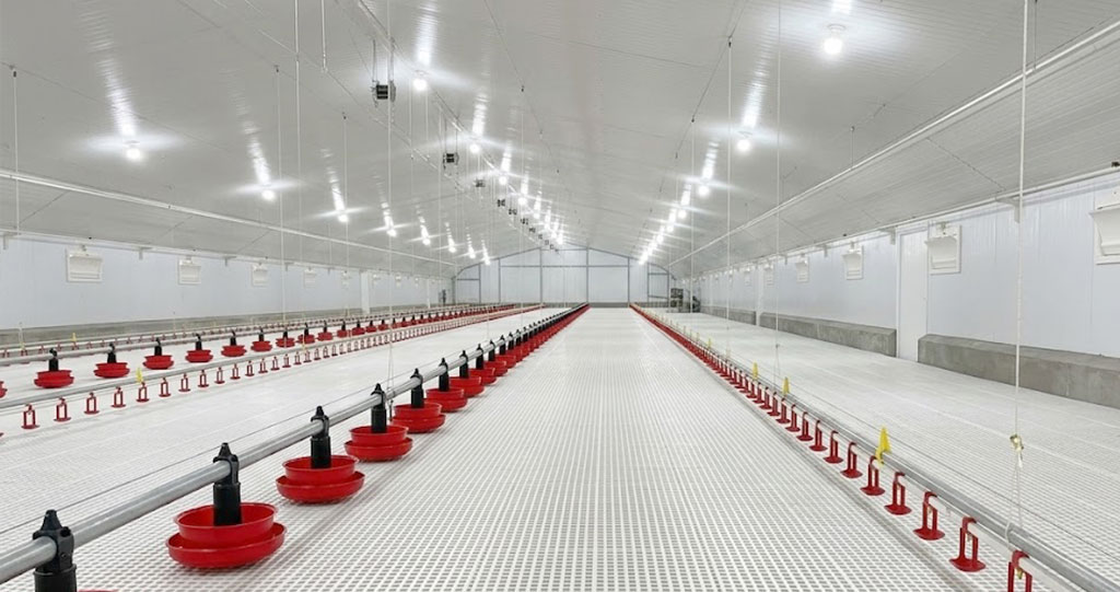 Interior of an enclosed broiler chicken house with sidewall air inlets, pan feeders, nipple drinkers and slatted flooring.