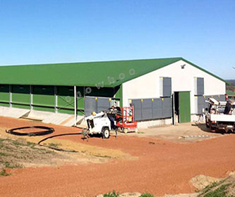 Open-sided steel structure chicken house with a green gable roof, metal wall cladding, and an enclosed end section.
