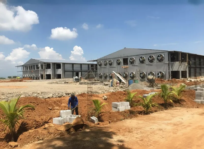 Two-story steel poultry houses with wall-mounted ventilation fans under construction in the Philippines.