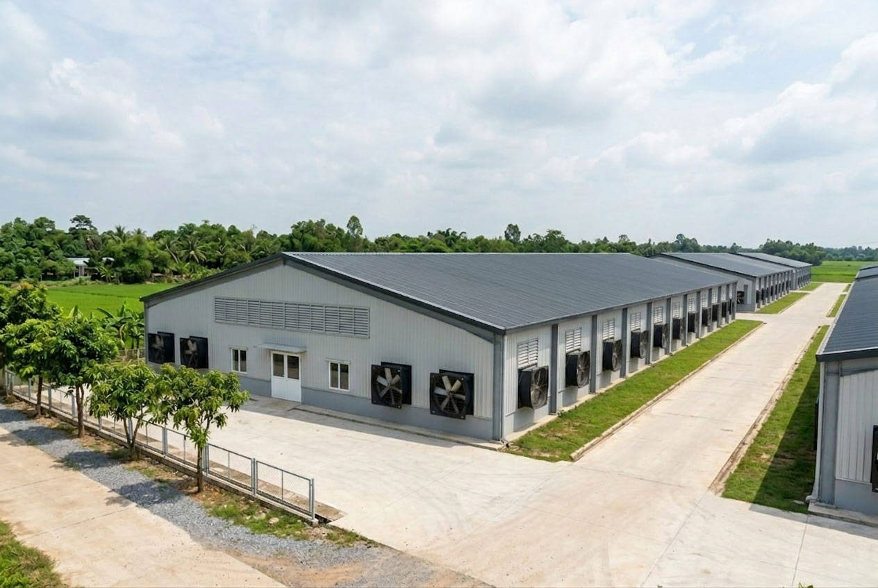 Aerial exterior view of pig farming shed buildings with metal roof panels, wall cladding, side exhaust fans, service roads, and a ventilated commercial pig farm layout.
