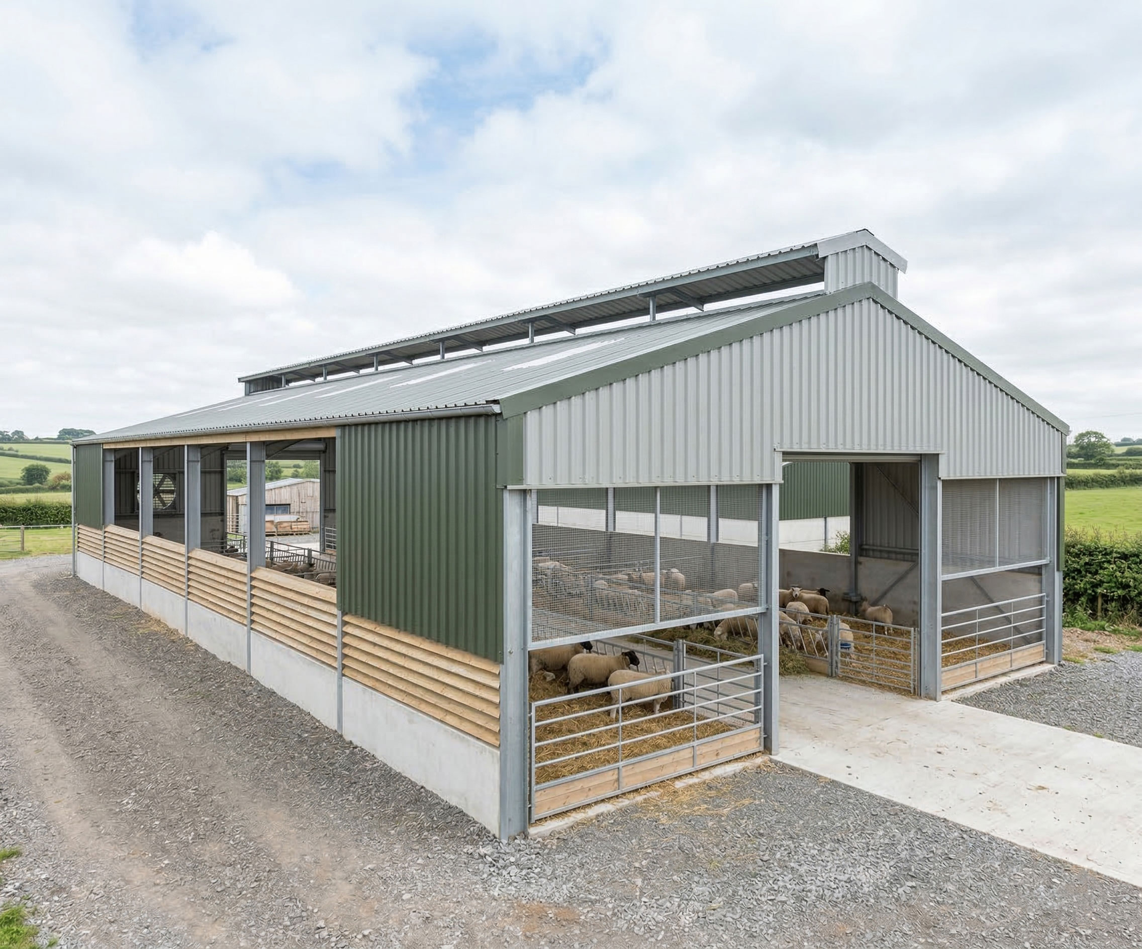 Sheep shed ventilation design with ridge vent, sidewall openings, steel frame, metal roof panels, concrete base, and indoor sheep pens for livestock housing.