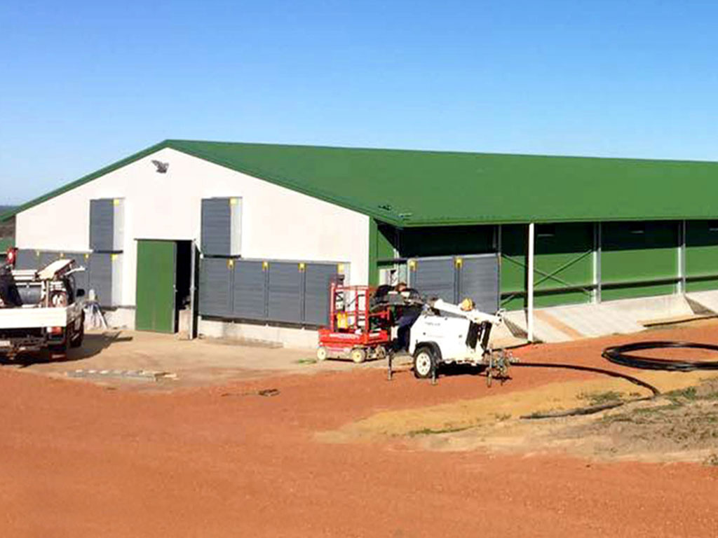 Steel structure poultry house project in Australia with a green gable roof, open sidewall sections, and enclosed service rooms.