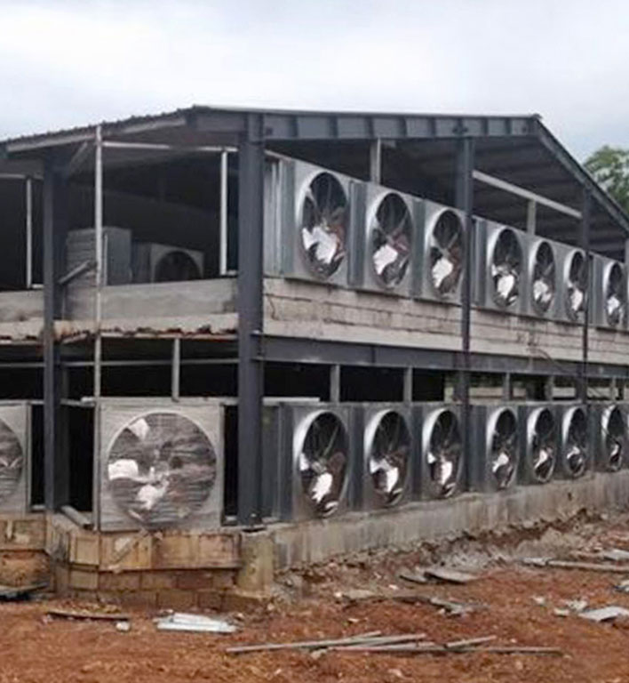 Steel structure poultry house project in the Philippines with two levels of exhaust fans installed along the side wall.