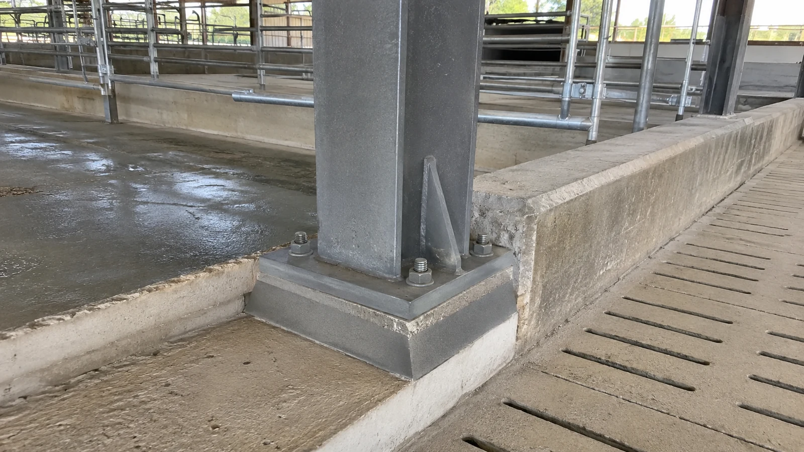 Protected steel column base beside a concrete curb and slatted pig house floor.