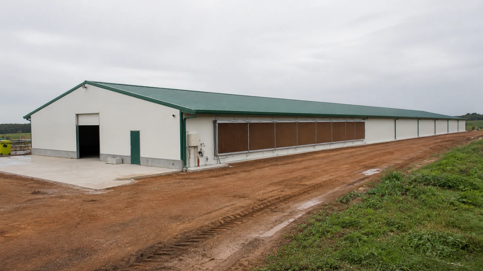 Insulated chicken house with sidewall cooling pads covering roughly 33 percent of the wall in humid conditions.
