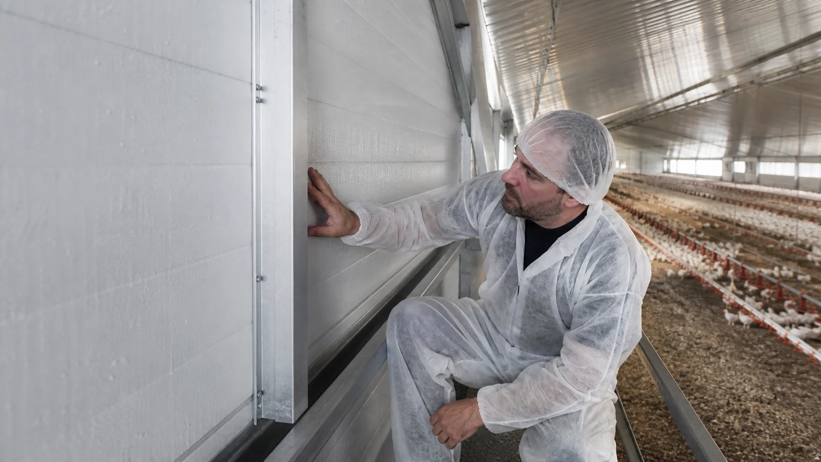 Inspector checks coated steel, panel joints, fasteners, and flashings in a poultry house