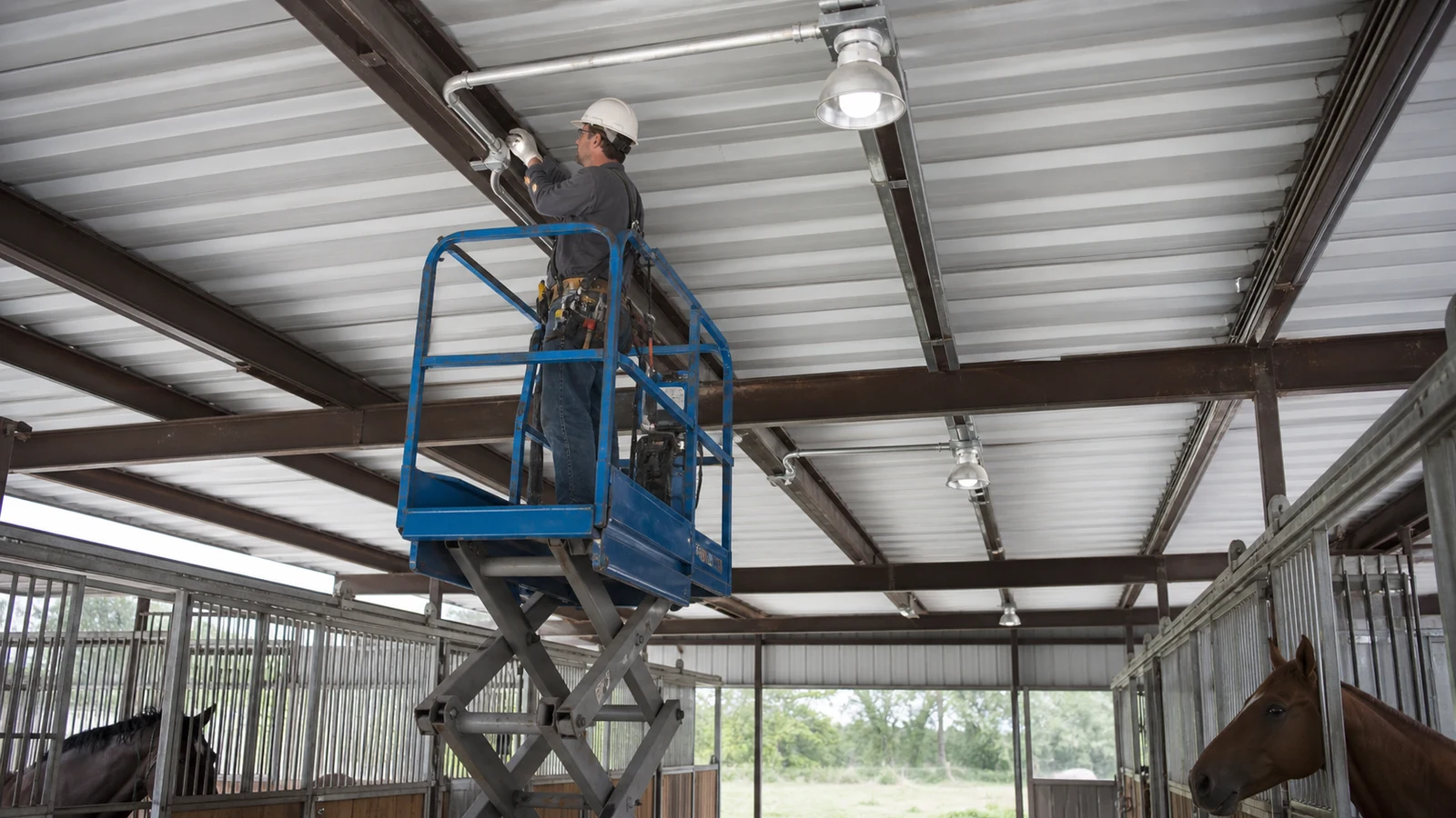 Licensed electrician inspects protected wiring and lighting in a dusty horse barn